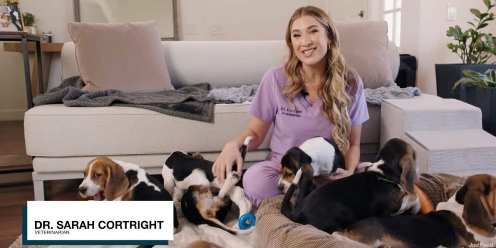 dr sarah cortwright, dvm